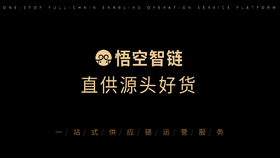 2020悟空智链项目书