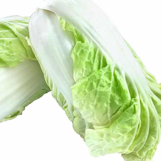 6-8斤整颗新鲜大白菜农家自种新鲜现摘包心白菜促销配送 商品图4