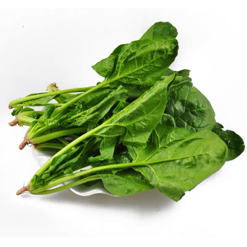 3斤（菠菜2.9元/斤）农家自种本地菠菜天然生长田间直采