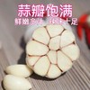 2斤起售（特价7元/斤）山东优质大蒜蒜味十足蒜至十足 商品缩略图2