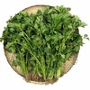 2斤（爆款3.5元/斤）精选小香芹小芹菜农家种植芹菜味足 商品缩略图3