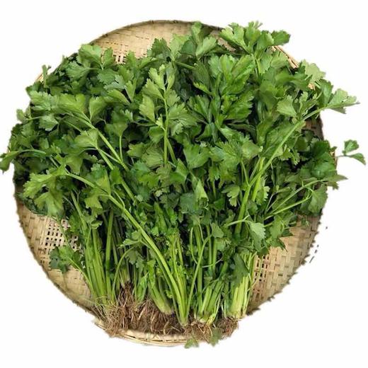 2斤（爆款3.5元/斤）精选小香芹小芹菜农家种植芹菜味足 商品图3