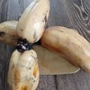 3斤（特惠6元/斤）新鲜莲藕农家自种应季嫩藕脆藕 商品缩略图2