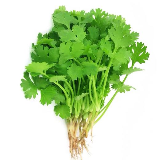 （特惠香菜3.98元/斤）香菜农家芫荽农家种植老品种香味十足 商品图0