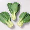 5斤（上海青0.9元/斤）上海青小青菜新鲜蔬菜农家自种新鲜直采 商品缩略图1