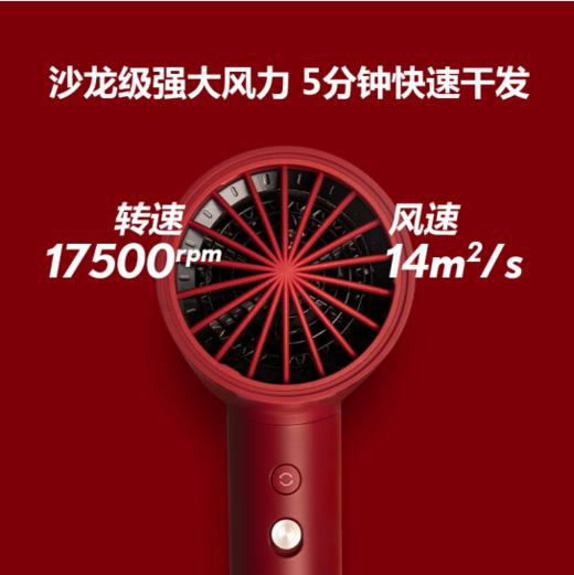 APIYOO艾优负离子SUP吹风机女家用电吹风大功率不伤发网红限量款 商品图3