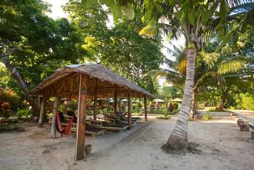 【度假村】印尼多地连锁运营 Two Fish Divers 给你专业安全的潜水体验 商品图2