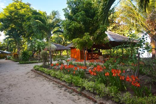 【度假村】印尼多地连锁运营 Two Fish Divers 给你专业安全的潜水体验 商品图0