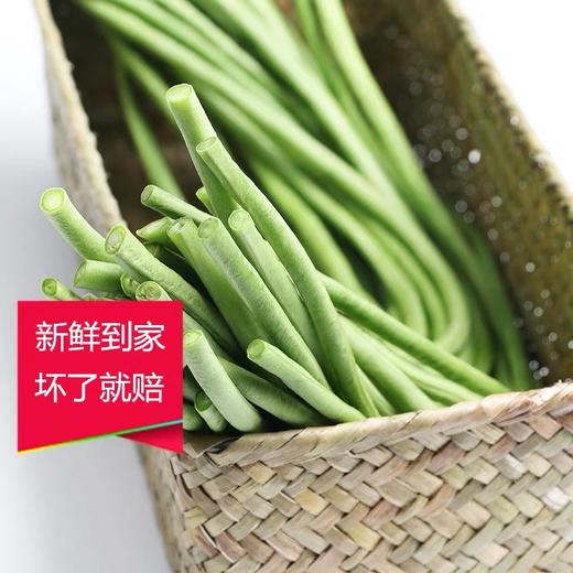 2斤（特惠豆角5元/斤）新鲜蔬菜豆角农家种植现摘现送鲜嫩可口 商品图3