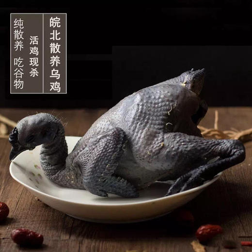 （特惠68一只）谭棚郭大村散养乌鸡滋补现杀乌鸡活鸡4斤左右 商品图2