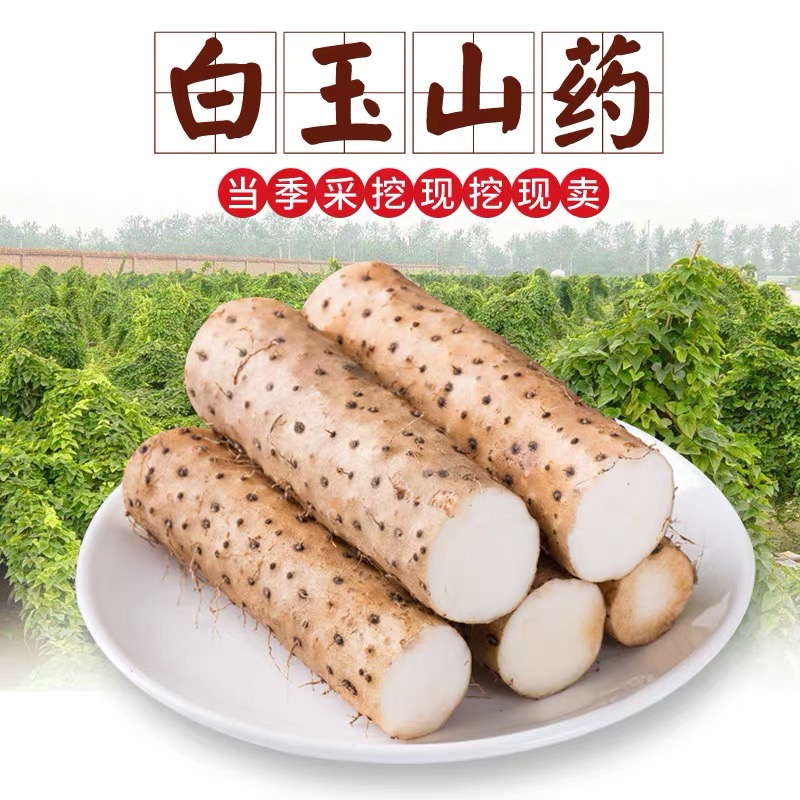 5斤（超值4元/斤）菜山药农家自种白玉山药5斤装