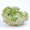 有机菜花（生鲜类商品当日取货，过期按取货日价格） 商品缩略图0