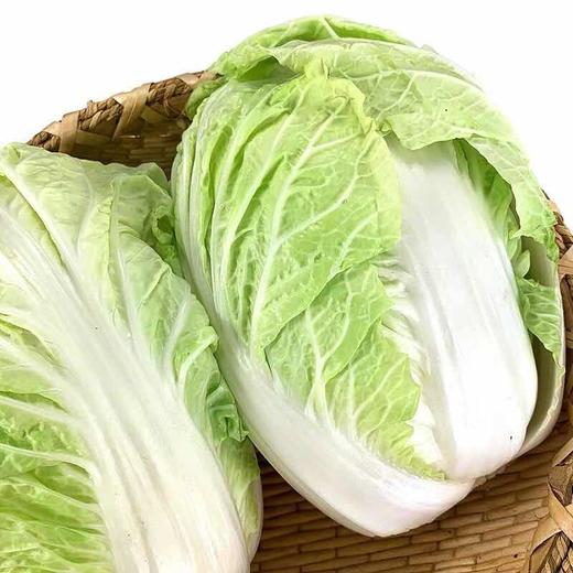 6-8斤整颗新鲜大白菜农家自种新鲜现摘包心白菜促销配送 商品图3