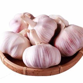 2斤起售（特价7元/斤）山东优质大蒜蒜味十足蒜至十足