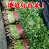 （特惠香菜3.98元/斤）香菜农家芫荽农家种植老品种香味十足 商品缩略图3