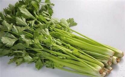 芹菜（生鲜类商品当日取货，过期按取货日价格） 商品图0