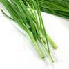 1斤（韭菜3.9元/斤）临泉农家种植传统土韭菜韭香十足田间直采 商品缩略图2
