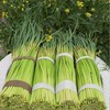 2斤（特惠蒜苔8元/斤）新鲜蒜苔当季蔬菜农家自种蒜味十足 商品缩略图0