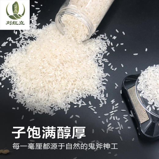 【厂销】黔东南 黎平【黎禾·裕丰菱香米】裕丰米业 5kg/10kg 全国包邮 润净爽口 回味清甜 商品图2