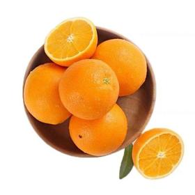 夏金脐橙5斤
