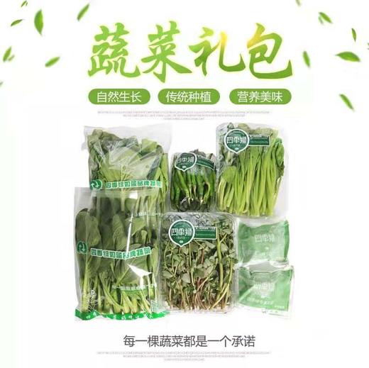 四季绿蔬菜礼包（42种蔬菜随机4种菜共8斤） 商品图0
