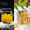 金丝皇菊 商品缩略图3