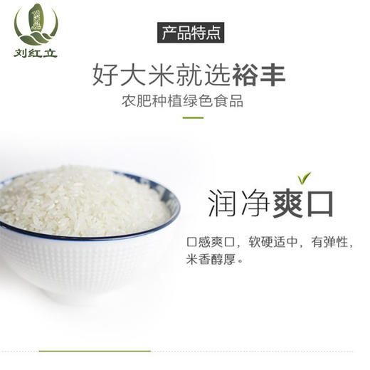 【厂销】黔东南 黎平【黎禾·裕丰菱香米】裕丰米业 5kg/10kg 全国包邮 润净爽口 回味清甜 商品图6