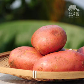 生态红皮土豆 | 合作生产* Eco-red potato | Coproduction