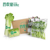 四季绿蔬菜礼包（42种蔬菜随机4种菜共8斤） 商品缩略图3