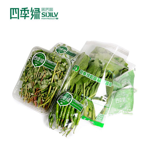 四季绿蔬菜礼包（42种蔬菜随机4种菜共8斤） 商品图2