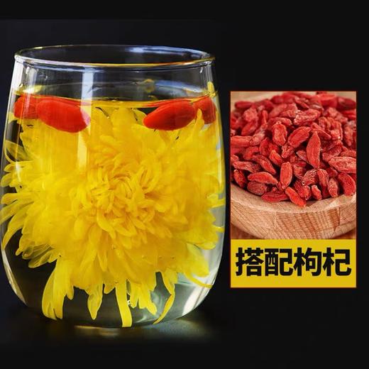 金丝皇菊 商品图1