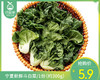 宁夏新鲜斗白菜/1份（约300g） 商品缩略图0