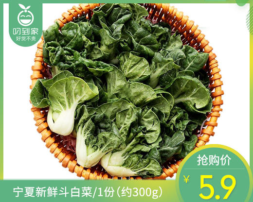 宁夏新鲜斗白菜/1份（约300g） 商品图0