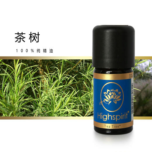 德国Highspirit 纯有机单方精油 商品图6