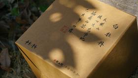 试茶：2019年秋白露