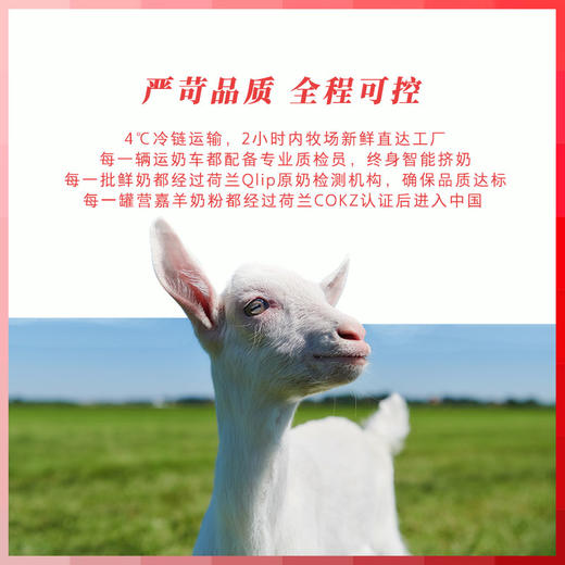 营嘉全家羊奶粉*2罐【常规礼盒装】 商品图5