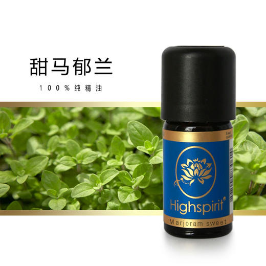 德国Highspirit 纯有机单方精油 商品图4
