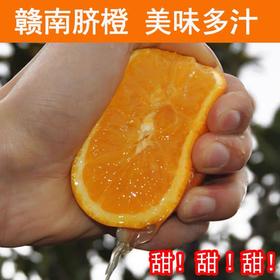 精品橙子