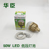 华臣 50W LED 直流低压球泡 5米 商品缩略图0