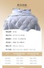 斯卡布罗90%鹅绒被（春夏款） 商品缩略图2