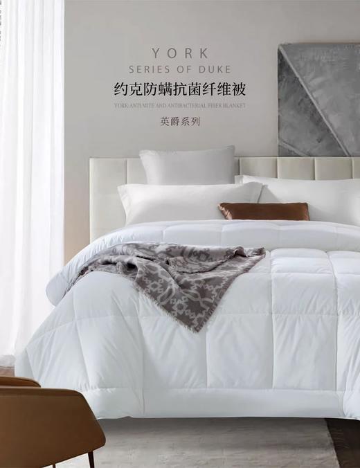 约克防螨抗菌夏凉被 商品图0