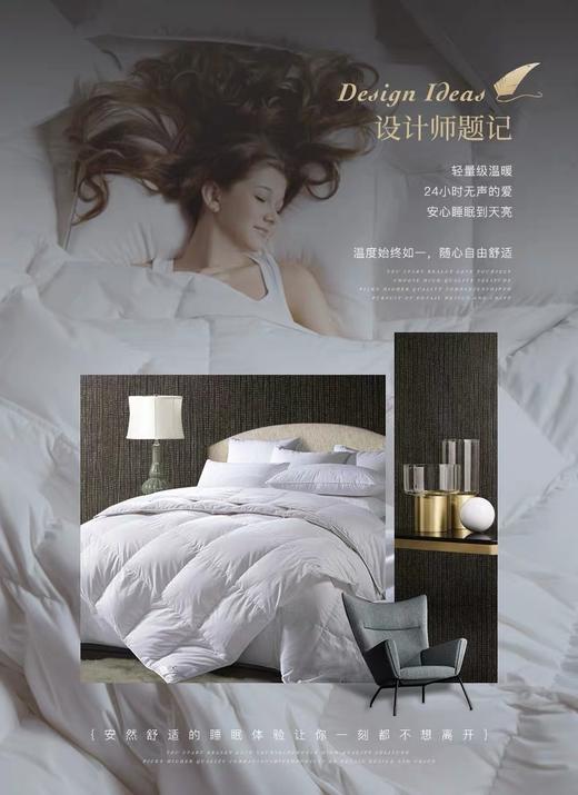斯卡布罗90%鹅绒被（春夏款） 商品图4