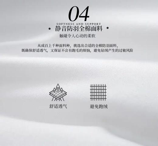 希尔顿沁芯75%白鹅绒枕 商品图2