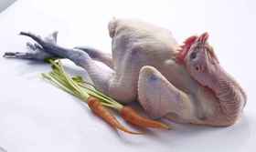 苏食气调鲜散养青脚鸡（半鸡）650克/盒【0510】