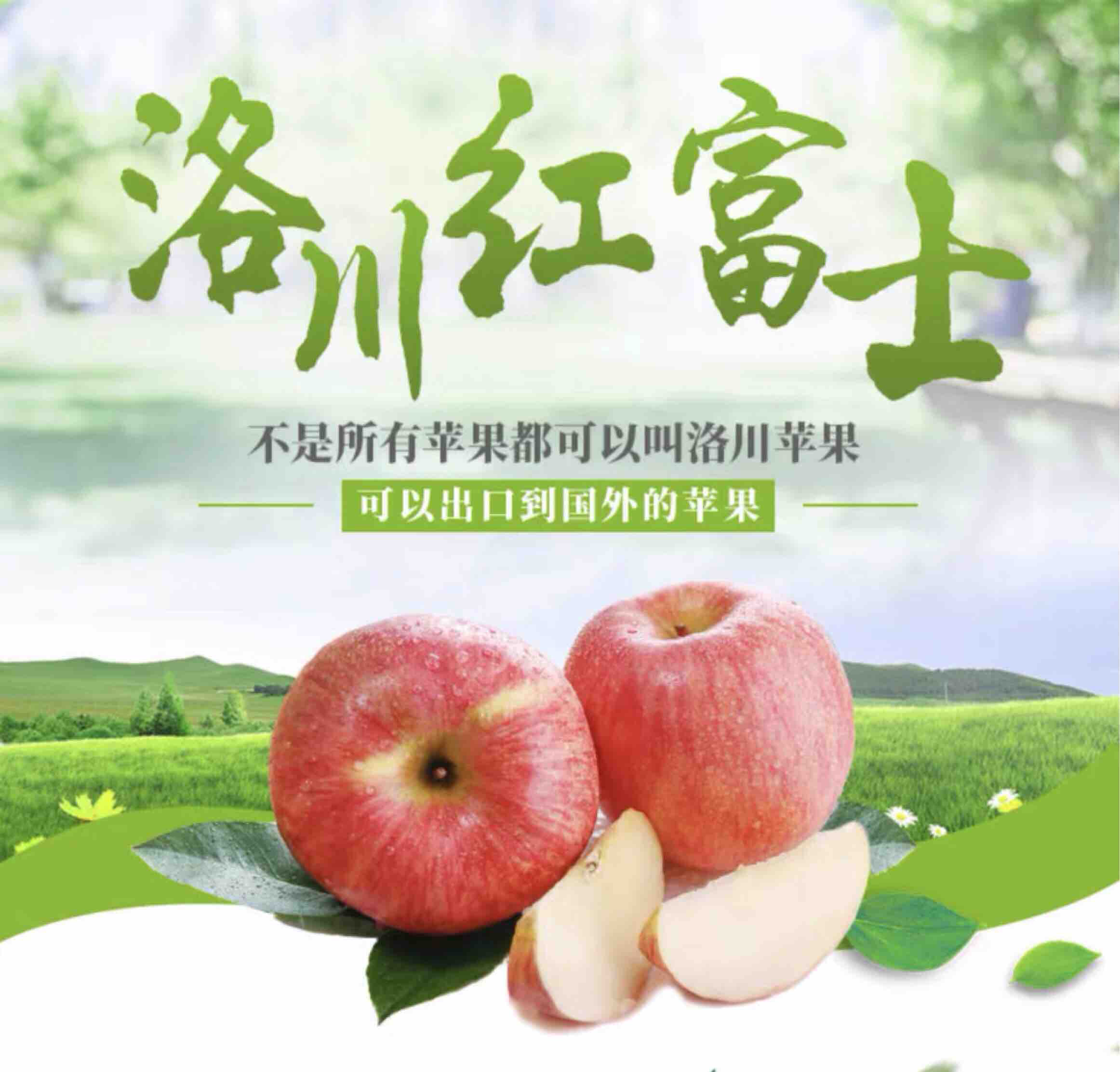 陕西洛川红富士苹果8.5斤