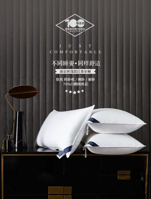 希尔顿沁芯75%白鹅绒枕 商品图3