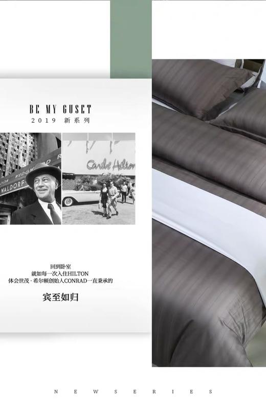 希尔顿伯爵六件套（烟熏色） 商品图4
