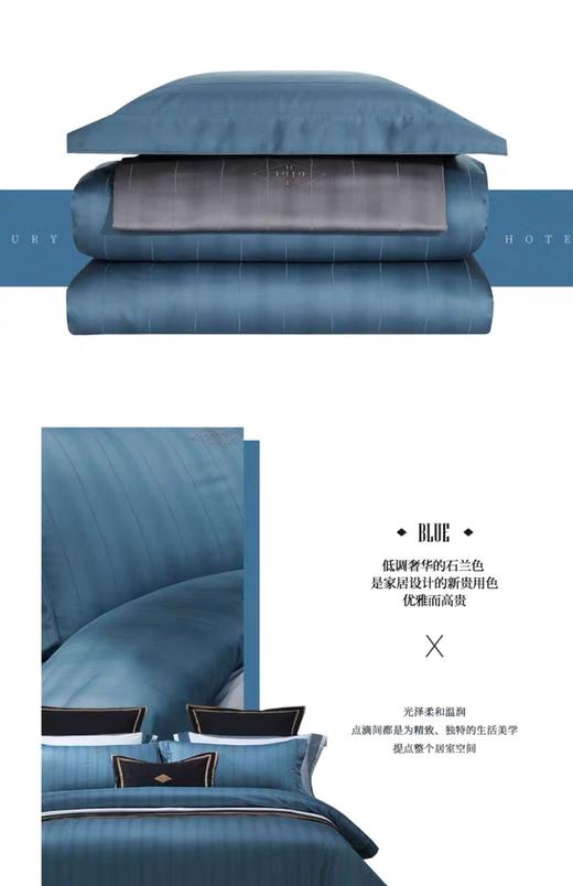 希尔顿伯爵六件套（石兰色） 商品图2
