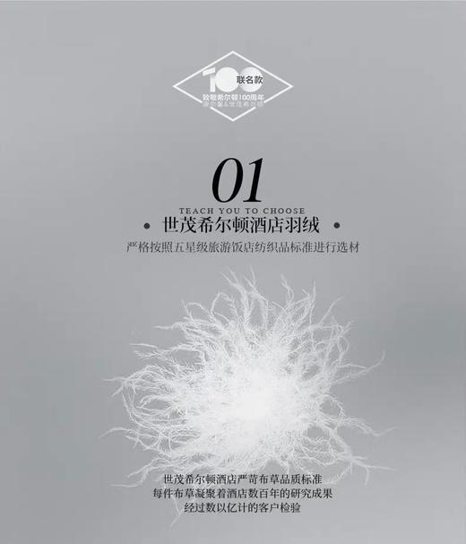 希尔顿沁芯75%白鹅绒枕 商品图1