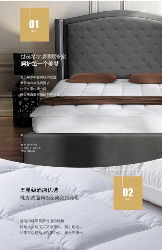 希尔顿柏林保护垫（厚度3CM） 商品图1